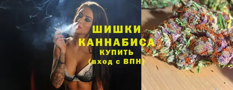 Шишки марихуана Amnesia  гидра tor  Бокситогорск  купить наркотики цена 